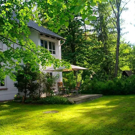 Niemann In Lutterloh