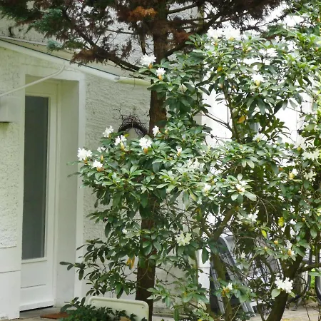 Niemann In Lutterloh Unterluss