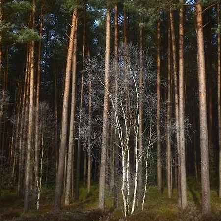 Niemann In Lutterloh Appartamento *