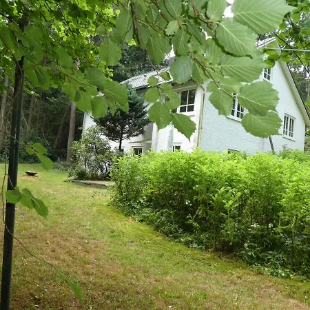 Niemann In Lutterloh